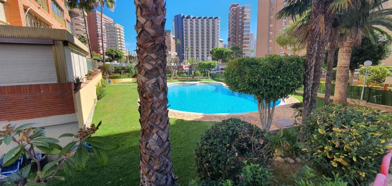 ADELFAS - Fincas Arena Benidorm Exterior foto